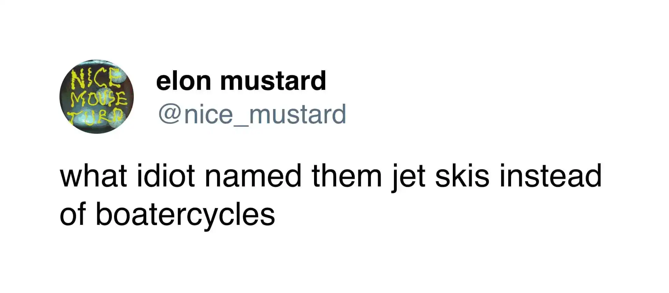 A classic "rename it" funniest tweets post from elon mustard. The user questions the naming of personal watercraft with the thought: "what idiot named them jet skis instead of boatercycles."