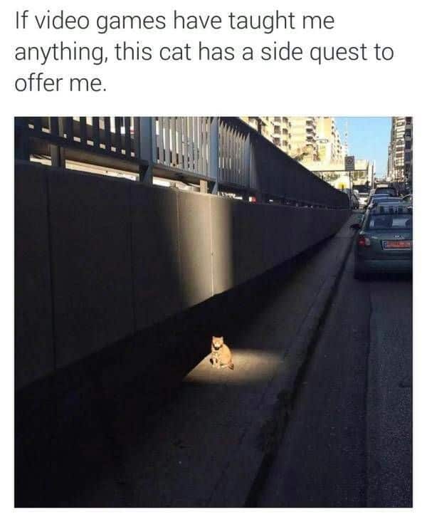 A funny rpg meme featuring a real-life photo of an orange tabby cat sitting perfectly within a small, rectangular patch of bright sunlight on a dark sidewalk. The caption reads: "If video games have taught me anything, this cat has a side quest to offer me."
