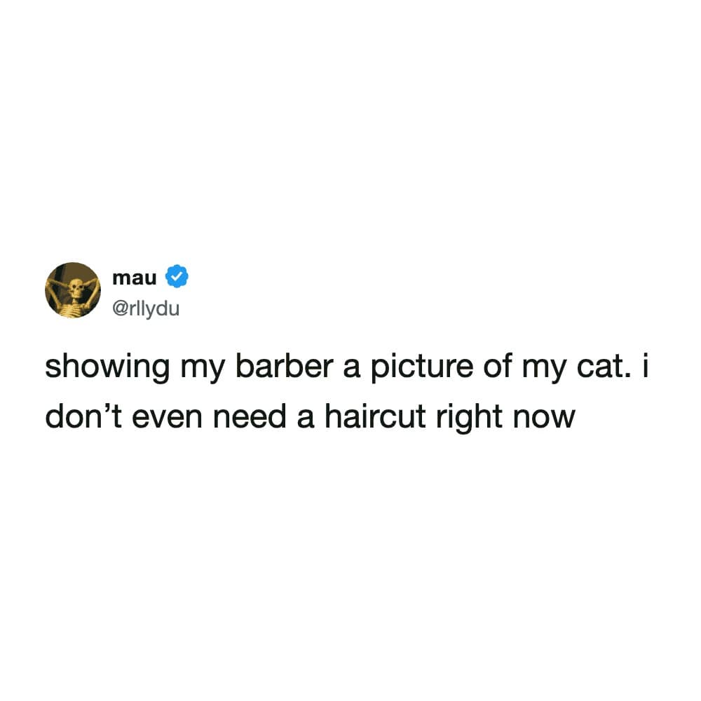 User mau shares a relatable funny cat tweet about the irresistible urge to show off pet photos to absolute strangers, specifically mentioning showing a picture of their feline to a barber despite not actually needing a haircut.