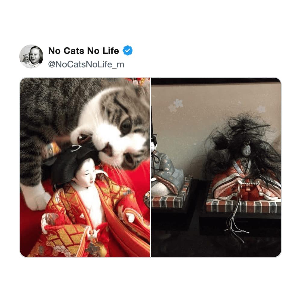 two-panel cat meme documenting a crime against interior design. The left photo shows a tabby cat mid-bite, gnawing on an ornate Japanese doll; the right photo shows the aftermath: the once-perfect doll now has a wild, frizzy "hairday" that looks like a horror movie prop.