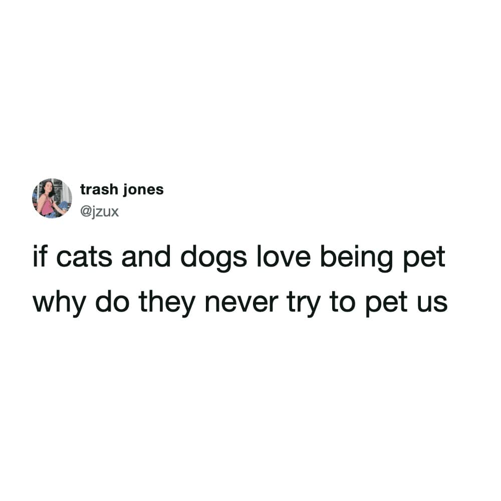 This viral funny cat tweet by trash jones questions the fundamental imbalance of pet-human relationships, wondering why animals never reciprocate the act of petting if they love it so much.