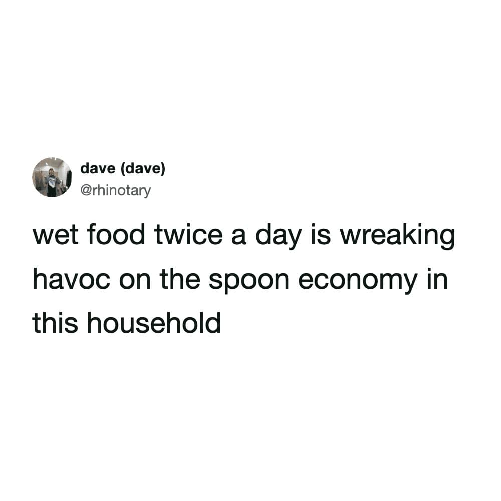 A household struggle is revealed in this funny cat tweet by Dave, explaining how the decision to feed wet food twice a day has completely decimated the supply of clean spoons in the building.