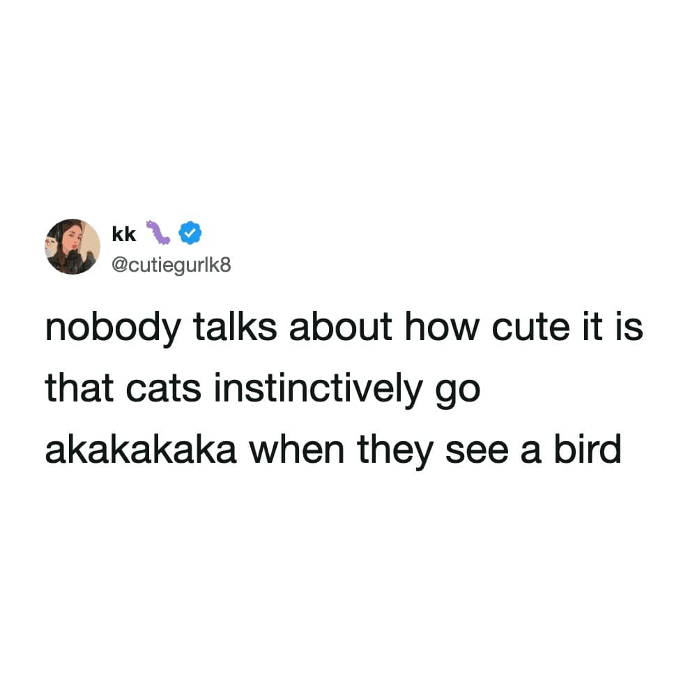 User kk posts a funny cat tweet about the specific akakakaka chattering sound felines make when they spot prey through a window, noting how adorable the predator instinct can be.