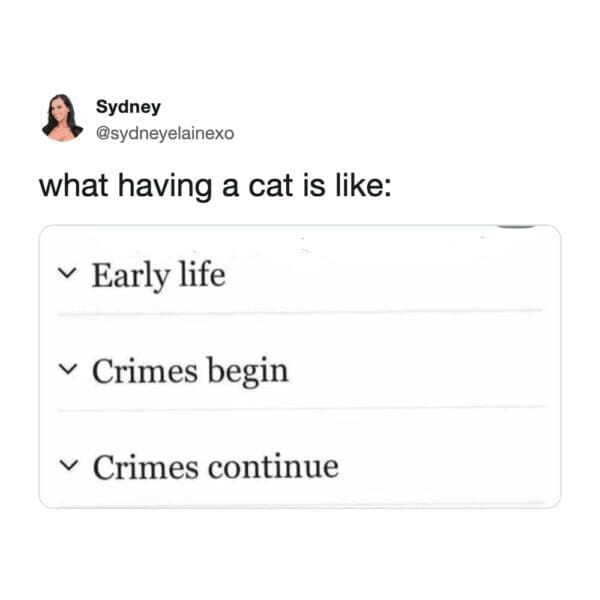 Sydney’s funny cat tweet uses a Wikipedia-style biography format to describe the life cycle of a house cat, where Early life is immediately followed by sections titled Crimes begin and Crimes continue.