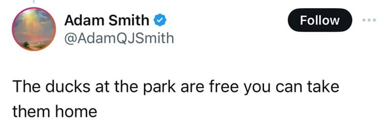 Tweet falsely claiming ducks at the park are free to take.