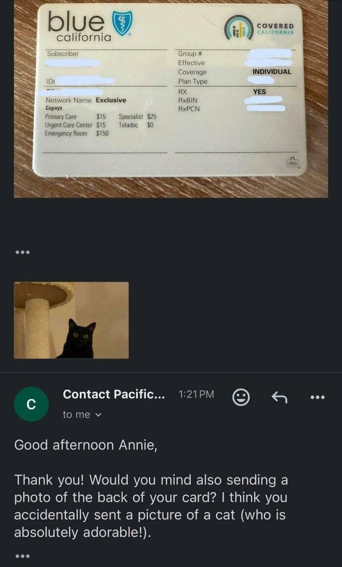 Funny email exchange where insurance customer accidentally sends cat photo instead of card back