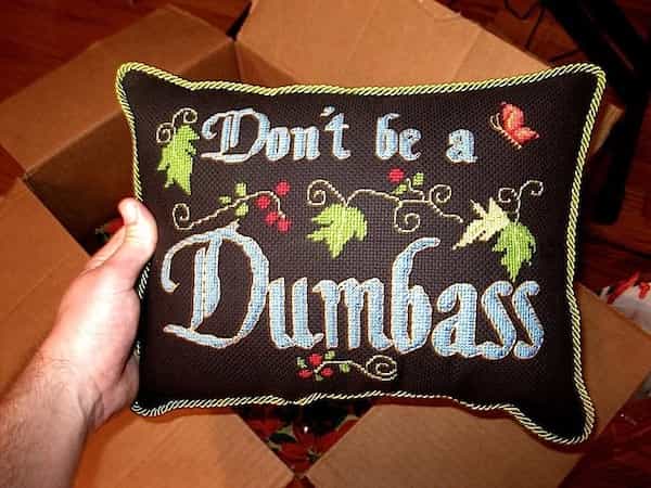 A decorative needlepoint pillow with ornate lettering that bluntly says "Don't be a Dumbass."