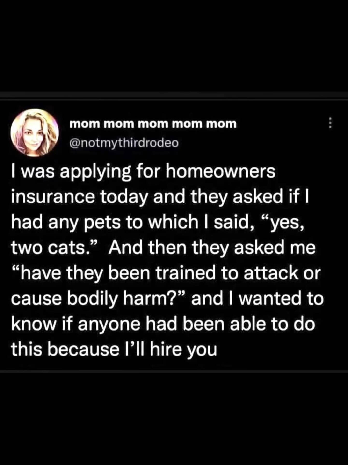 Humorous anecdote about an insurance company asking if pet cats are trained for bodily harm.
