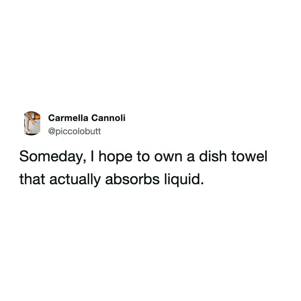 Humorous social media post expressing the lifelong struggle of finding a dish towel that actually absorbs liquid.
