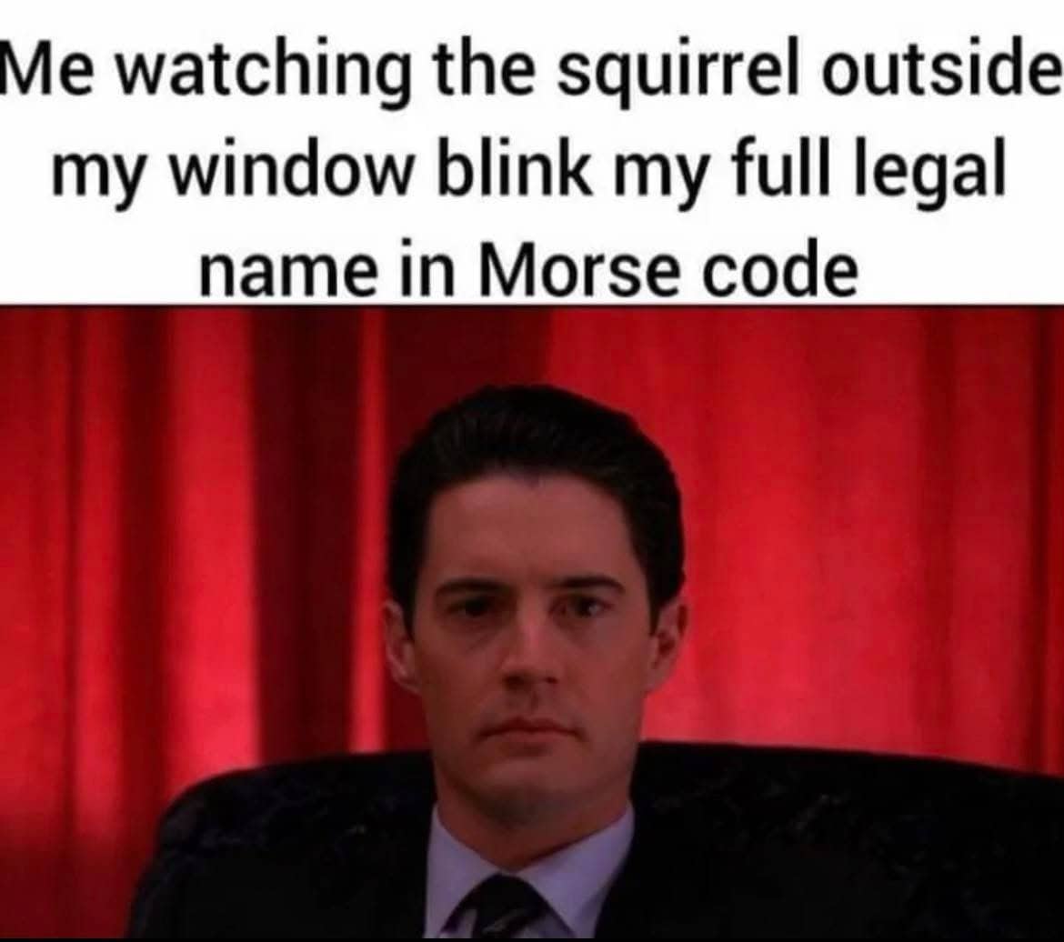 Dale Cooper from Twin Peaks staring intensely with a caption about squirrels blinking Morse code.