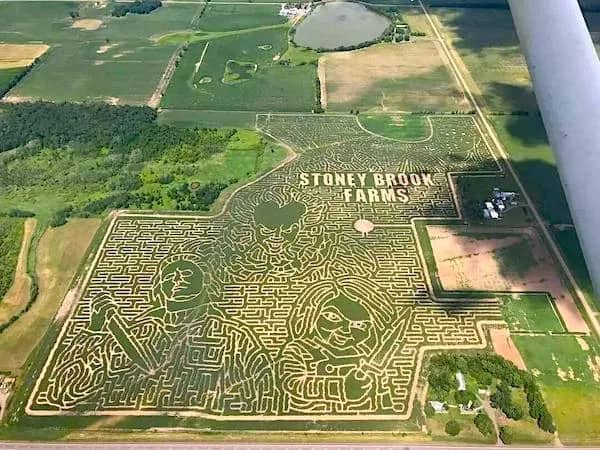 Aerial view of a massive corn maze at Stoney Brook Farms featuring detailed horror movie character designs.
