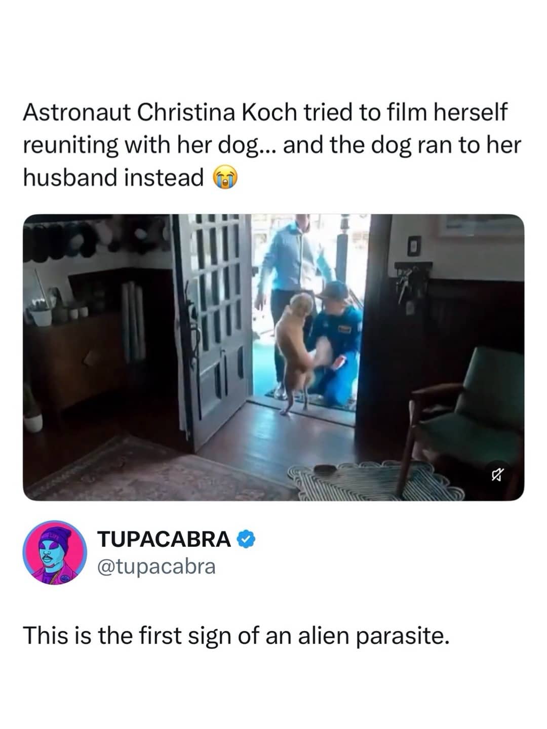 Funny meme about an astronaut's dog ignoring her, with a comment about alien parasites.