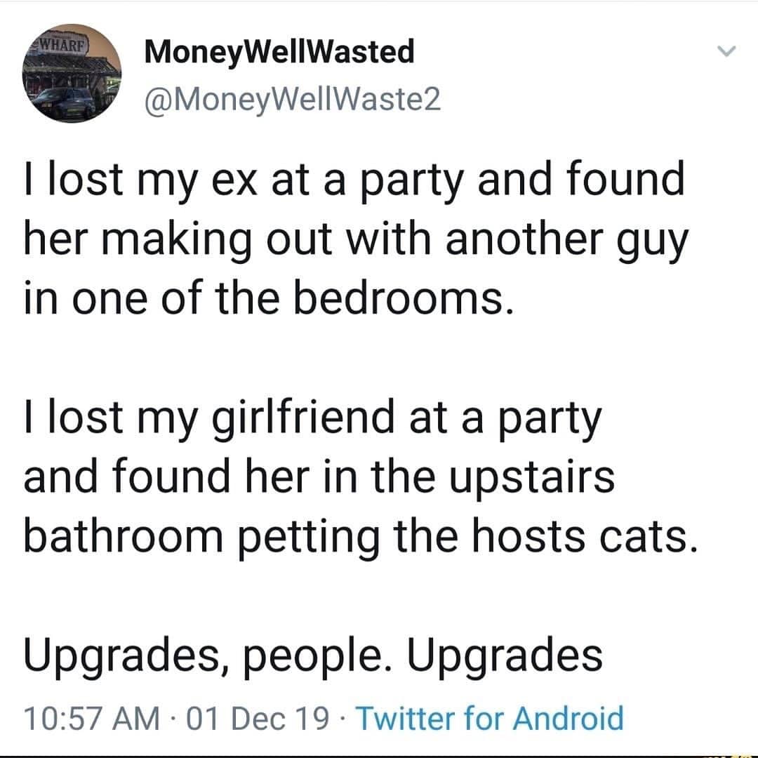 Funny text post comparing an unfaithful ex to a girlfriend who pets cats at parties.