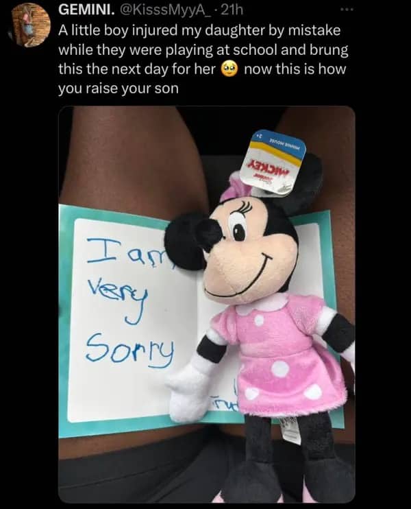 Heartwarming post about a little boy giving a Minnie Mouse doll and a sorry card to a girl.
