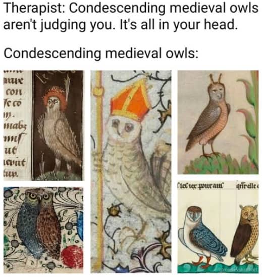Collection of five various medieval illustrations of owls wearing hats and looking condescendingly at the viewer.