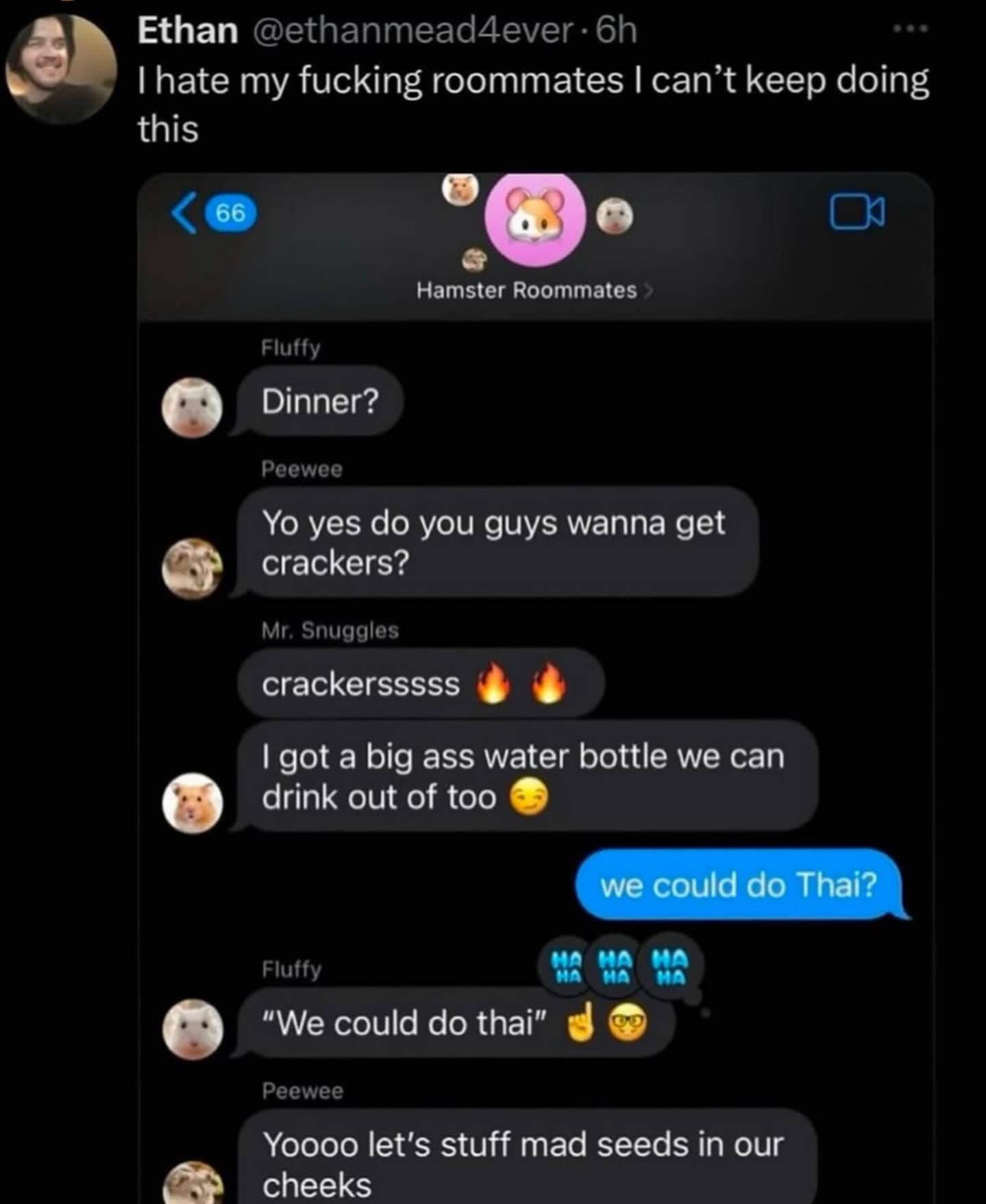 Humorous fake group chat of hamsters discussing dinner plans involving crackers and stuffing seeds.