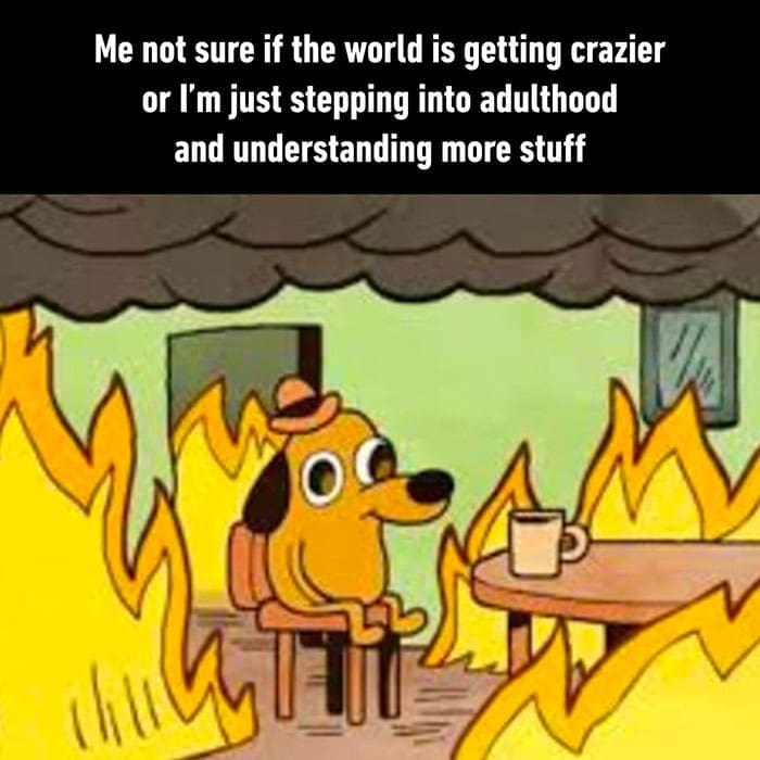 Famous "This is Fine" dog meme with text about the confusion of entering adulthood.