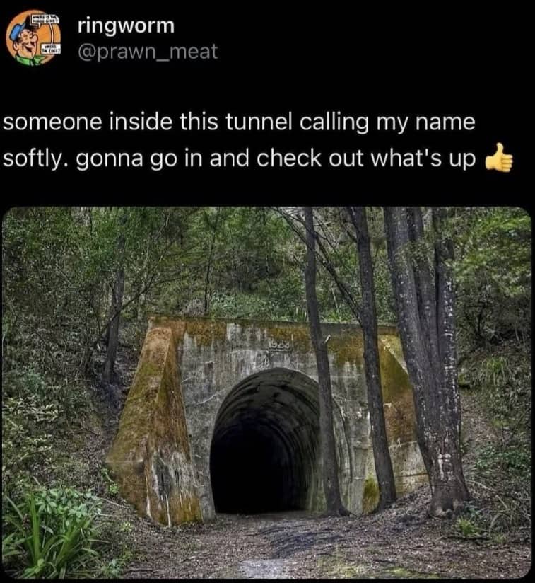 Spooky concrete tunnel entrance in a forest with a humorous caption about entering to investigate a voice.
