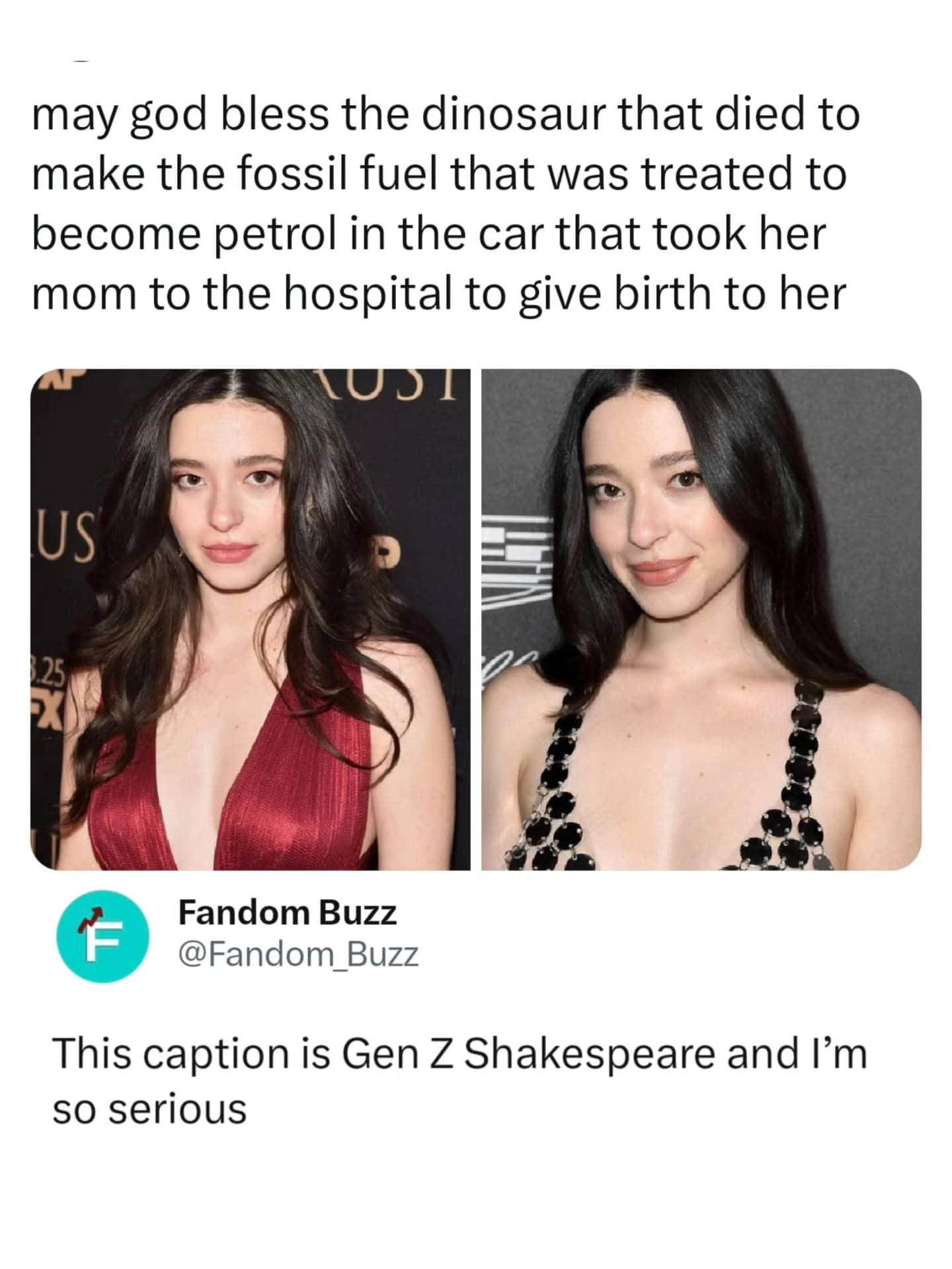 A meme praising the dinosaur that became fuel for the car used during a woman's birth.