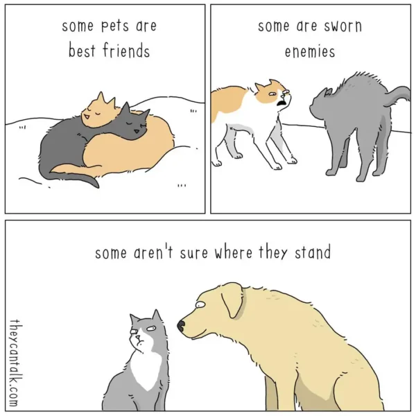 three-panel funny online web comic from "They Can Talk" exploring the social dynamics of pets. It shows two cats as "best friends" hugging, two as "sworn enemies" hissing, and finally a cat and a dog staring awkwardly at each other with the caption, "some aren't sure where they stand."