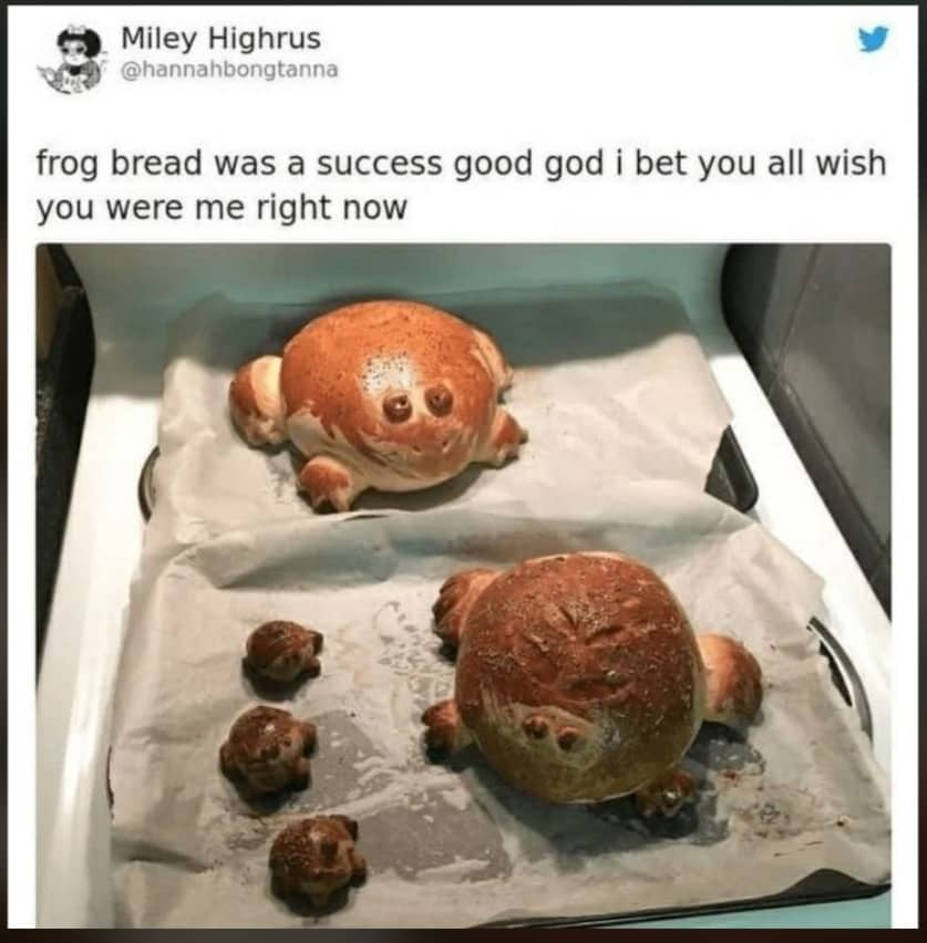 Two golden brown loaves of bread baked in the shape of frogs on a tray.