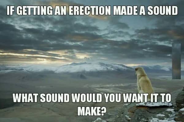 Dog sitting on a snowy mountain peak with a question about hypothetical sounds of arousal.