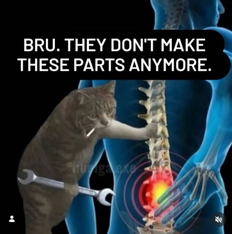 Meme showing a cat mechanic pointing at a human spine illustration saying parts are discontinued.