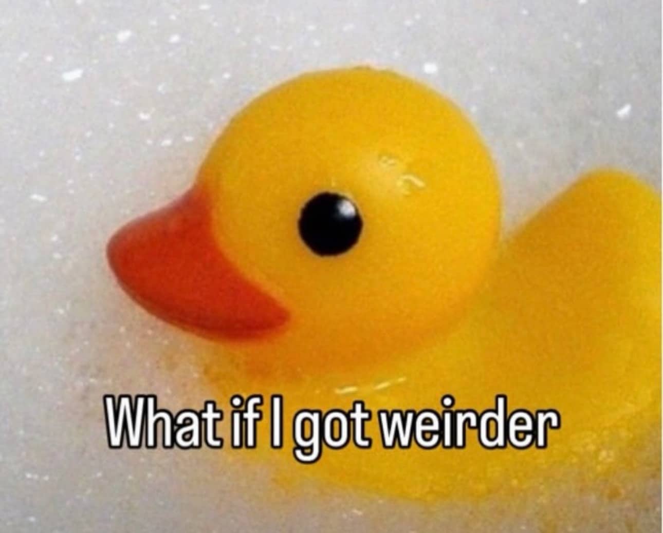 Rubber duck floating in bubble bath with humorous existential text asking what if I got weirder.