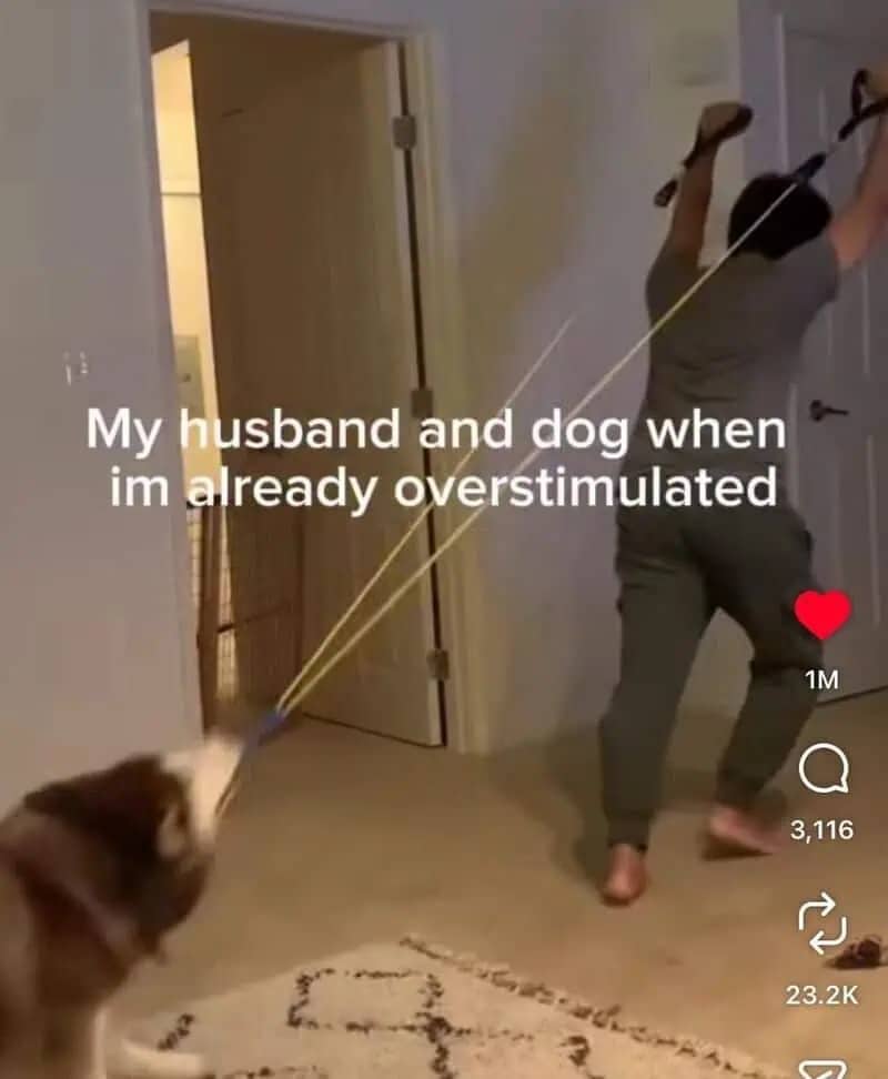 Relatable meme of a husband and dog being chaotic while the wife is feeling overstimulated.