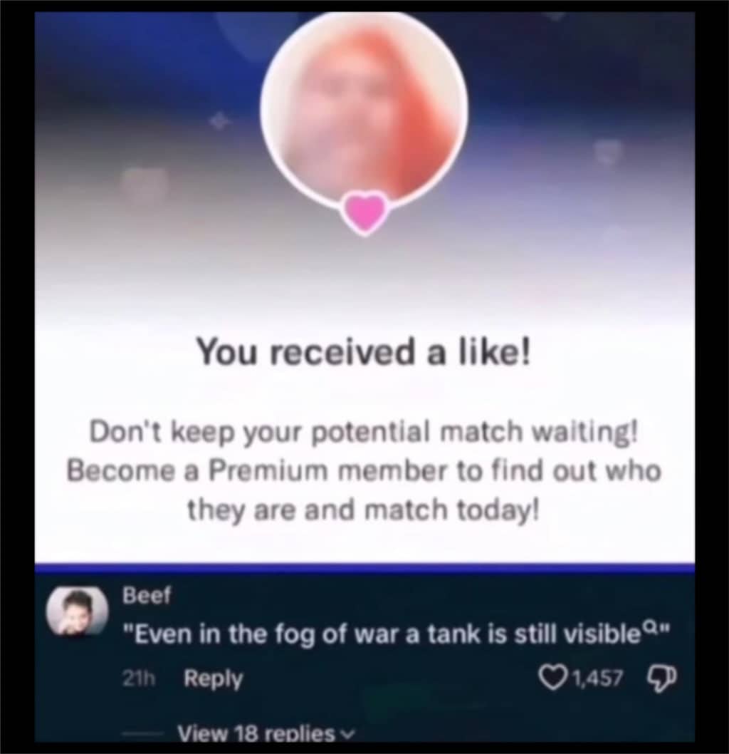 Funny dating app notification meme with a blurred profile picture and humorous fog of war comment.