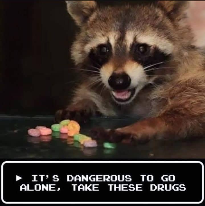 Raccoon offering colorful cereal pieces with a retro video game text box about taking drugs.