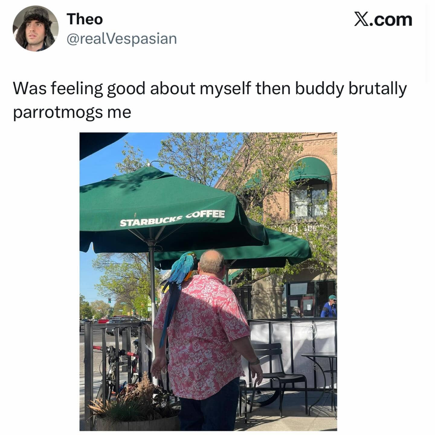 Man at Starbucks with a large macaw parrot on his shoulder being brutally parrotmogs.