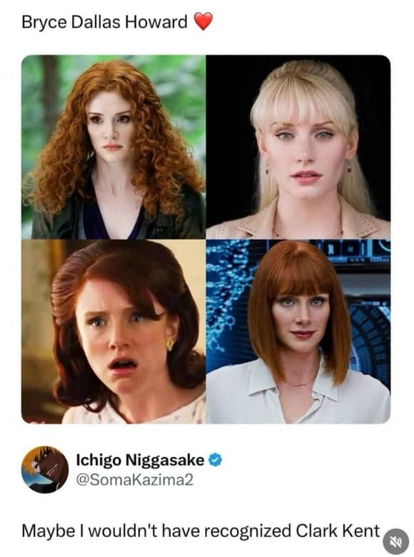 Funny memes post showing Erika Kirk smiling at a party despite claims that she is grieving.