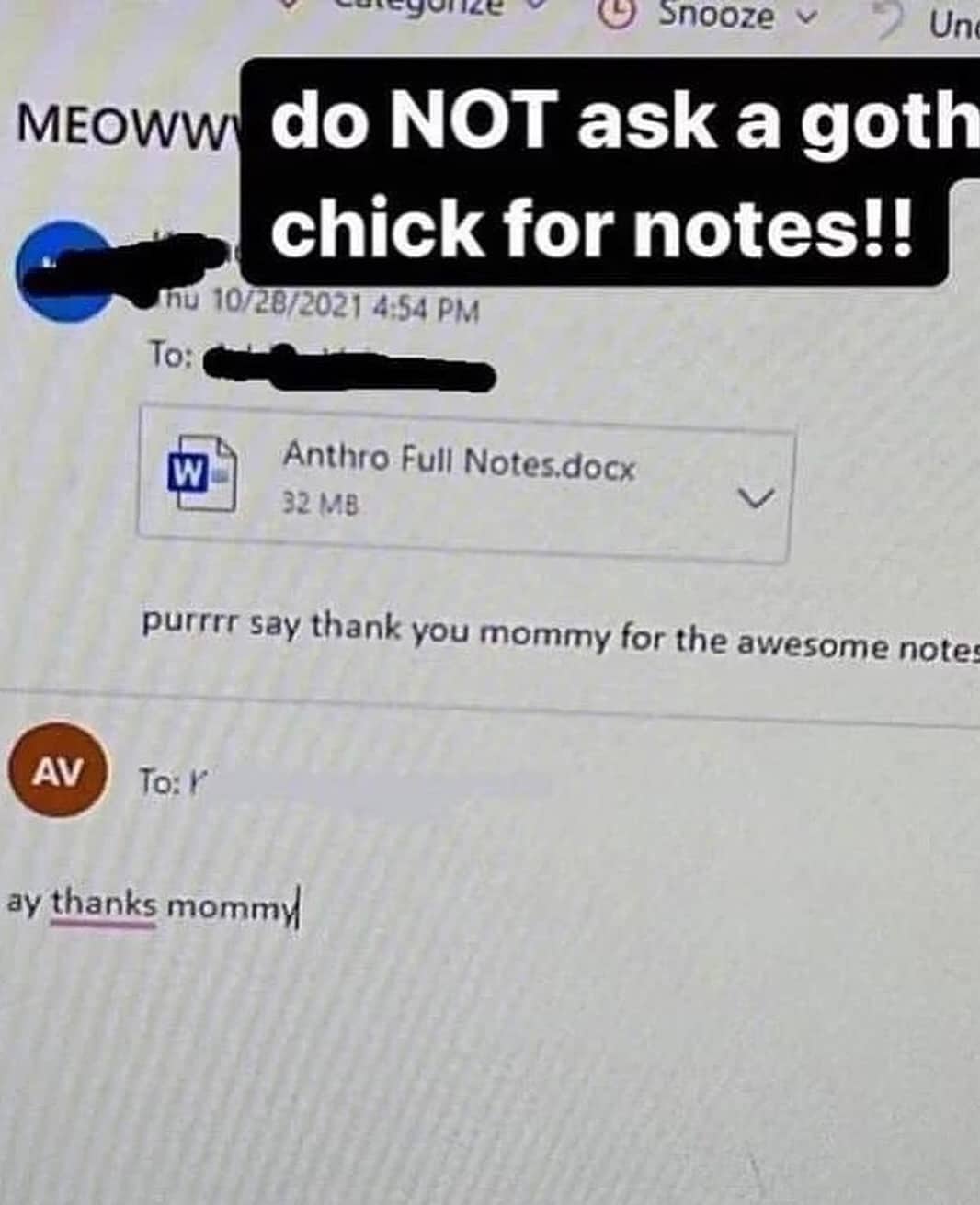 Humorous email exchange where a student calls a classmate mommy in exchange for anthropology notes.