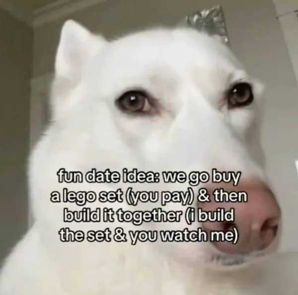Close up of a white husky with text about a fun but one-sided Lego date.