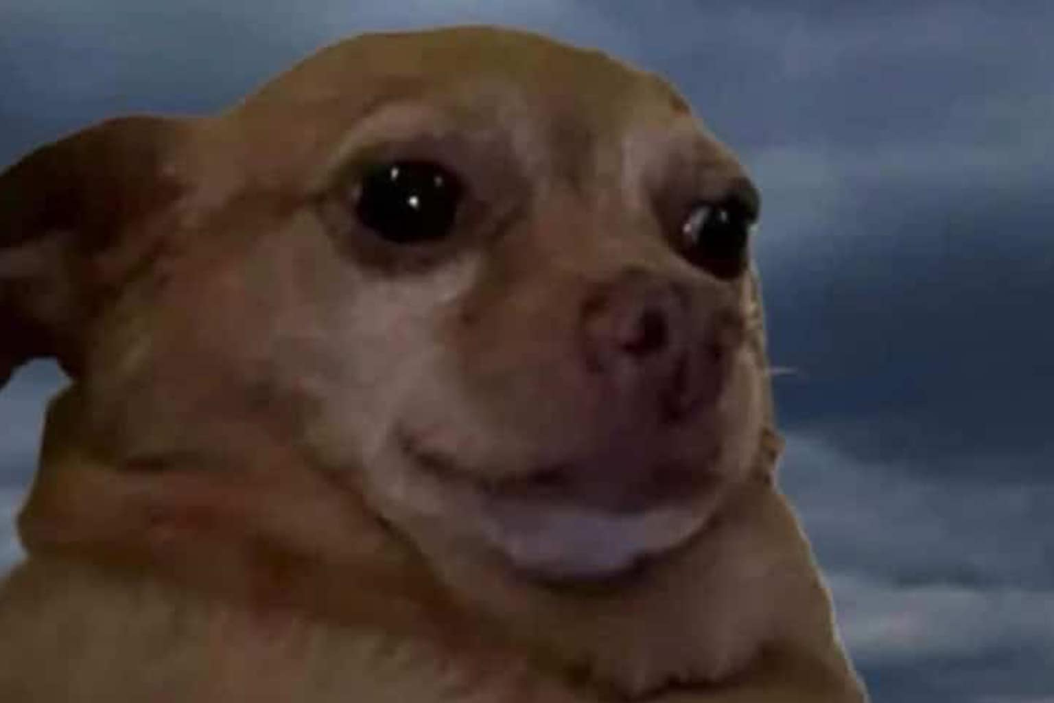 A funny relatable memes gallery compilation documenting the struggles of modern adulthood, featuring Hayao Miyazaki looking stressed about the economy, Bilbo Baggins hoarding a collection of useless IKEA hex wrenches, and Pennywise the Clown looking dejected in the rain.