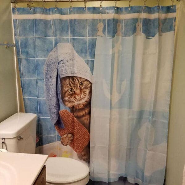 A meta funny shower curtain depicting a wide-eyed tabby cat peeking out from behind its own mini-shower curtain. The cat has a blue towel expertly wrapped around its head and is clutching a pink loofah in its paw, looking startled to be seen.