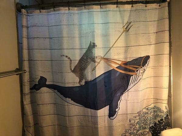 A mythological funny shower curtain showing a majestic humpback whale equipped with a brown leather bridle. A grey tabby cat stands heroically on the whale's back, wielding a golden trident as they ride through stylized Japanese waves.