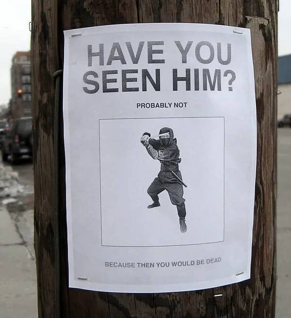 Telephone pole missing person flyer searching for ninja with warning that spotting him means death