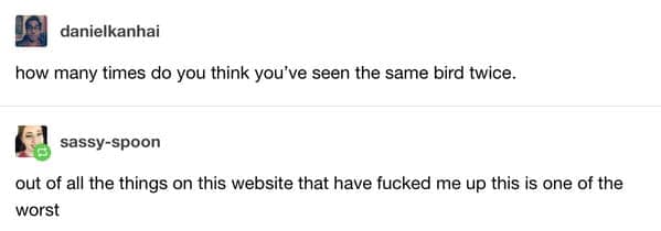 A thought-provoking funny tumblr post from danielkanhai that asks the reader to calculate how many times they have unknowingly seen the exact same bird twice. User sassy-spoon claims this is the most "f***ed up" realization they've encountered on the site.