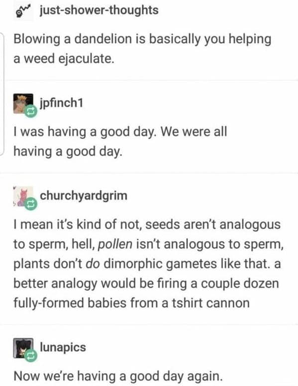 funny tumblr post regarding botany and metaphors. What starts as a crude joke about dandelions ends with user churchyardgrim providing a "better" analogy for seed dispersal: "firing a couple dozen fully-formed babies from a tshirt cannon."