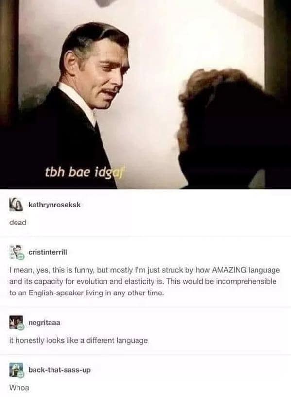 linguistics-focused funny tumblr post showing Clark Gable in Gone with the Wind with the modernized subtitle: "tbh bae idgaf." The commentary marvels at the "evolution and elasticity" of English, noting how the phrase would be incomprehensible to speakers from any other era.