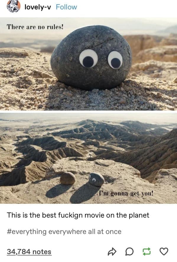 An appreciative funny tumblr post featuring the iconic "Rock Scene" from Everything Everywhere All At Once. Two rocks with googly eyes sit on a cliffside in silence, with one suddenly "shouting" via subtitle: "I'm gonna get you!"