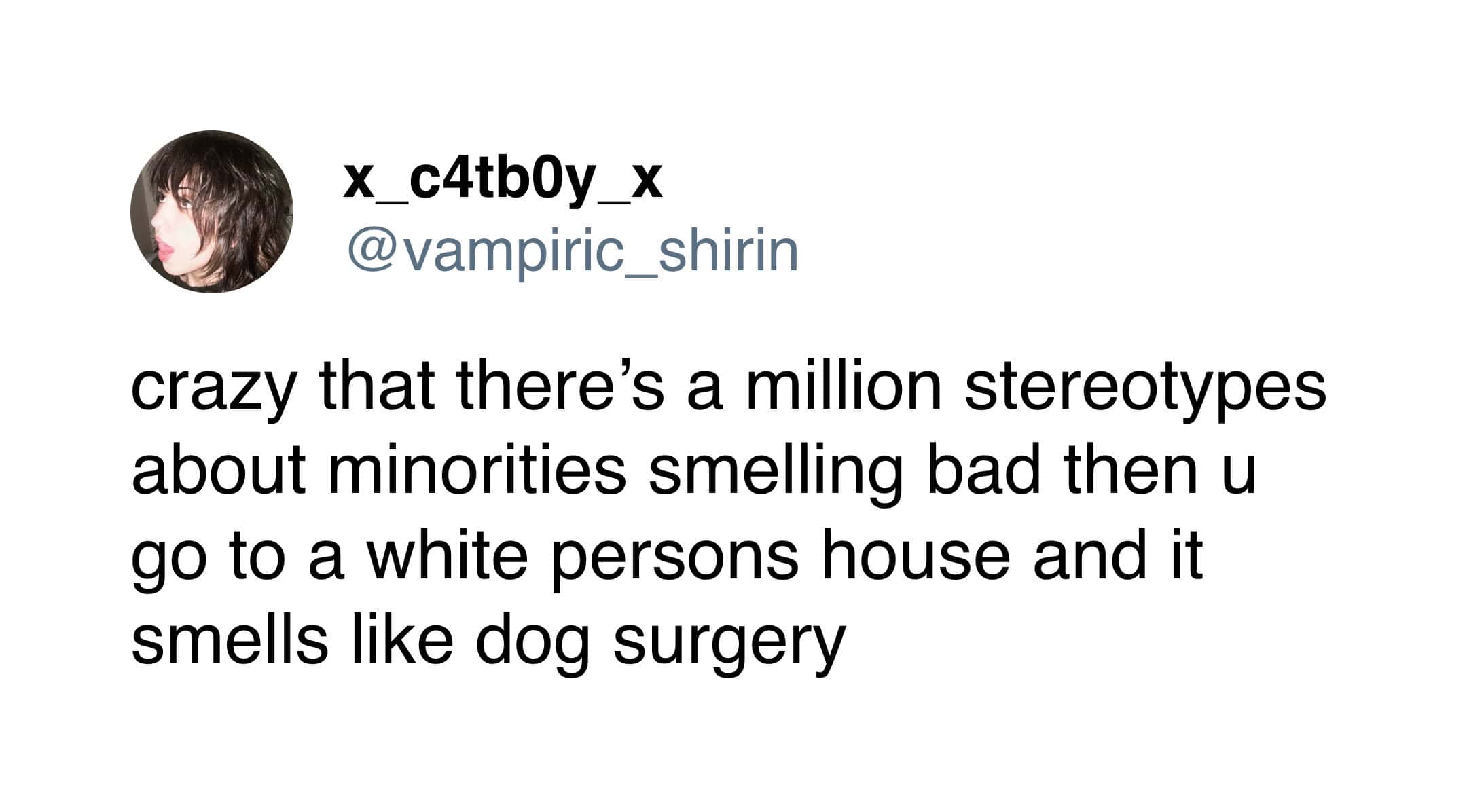 A sharp and funny tweet by @vampiric_shirin commenting on household stereotypes, claiming that instead of the usual tropes, white people's houses actually smell like "dog surgery."