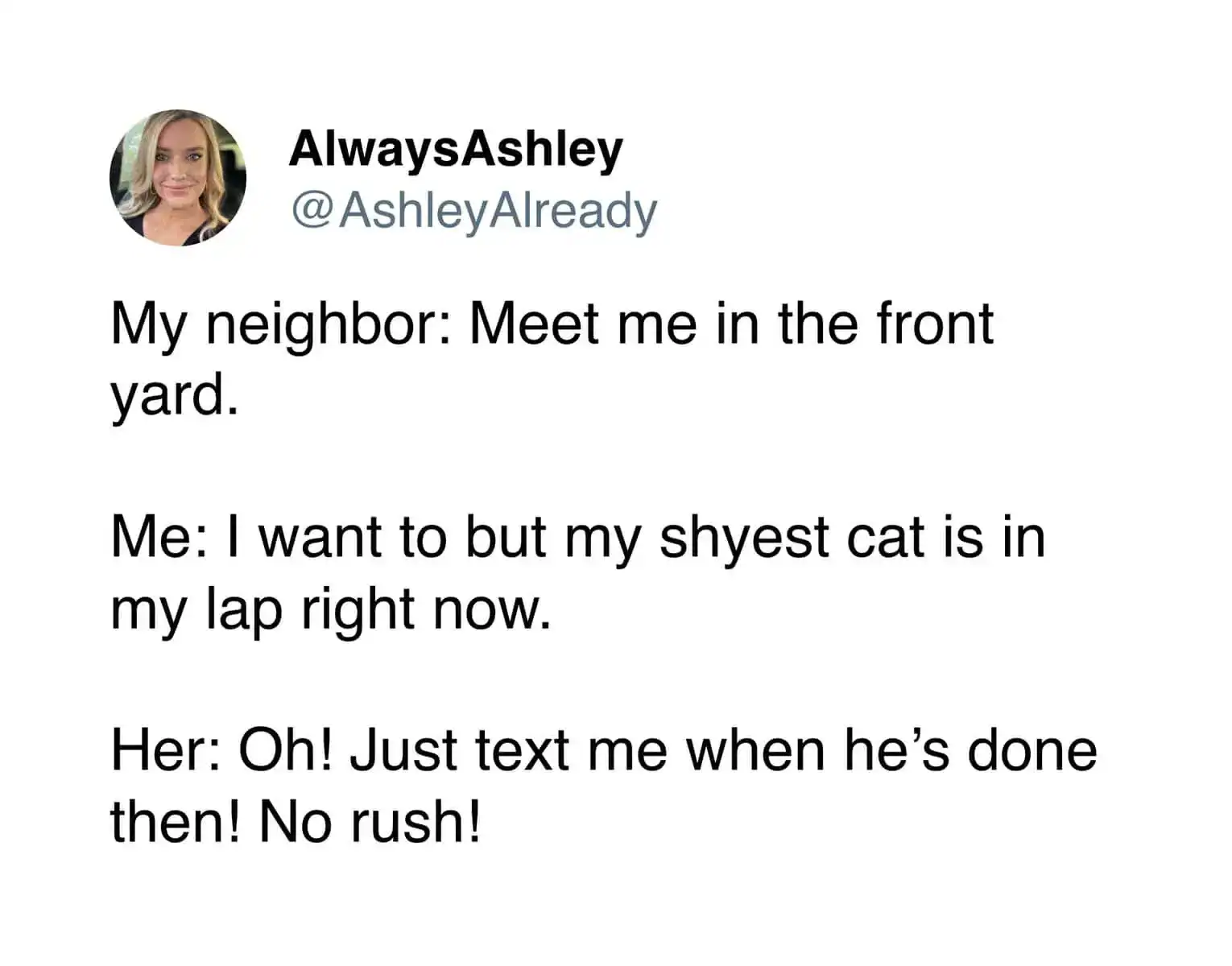 A funny tweet about pets from AlwaysAshley describing a neighborhood "Cat Trap" scenario. When a neighbor asks to meet in the yard, the user explains her shyest cat is on her lap—a reason so sacred that the neighbor immediately agrees to wait until the cat is "done."