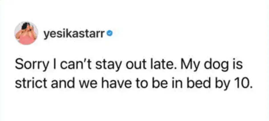 funny tweet about pets from yesikastarr about social boundaries. It features the ultimate introverted excuse: "Sorry I can’t stay out late. My dog is strict and we have to be in bed by 10."