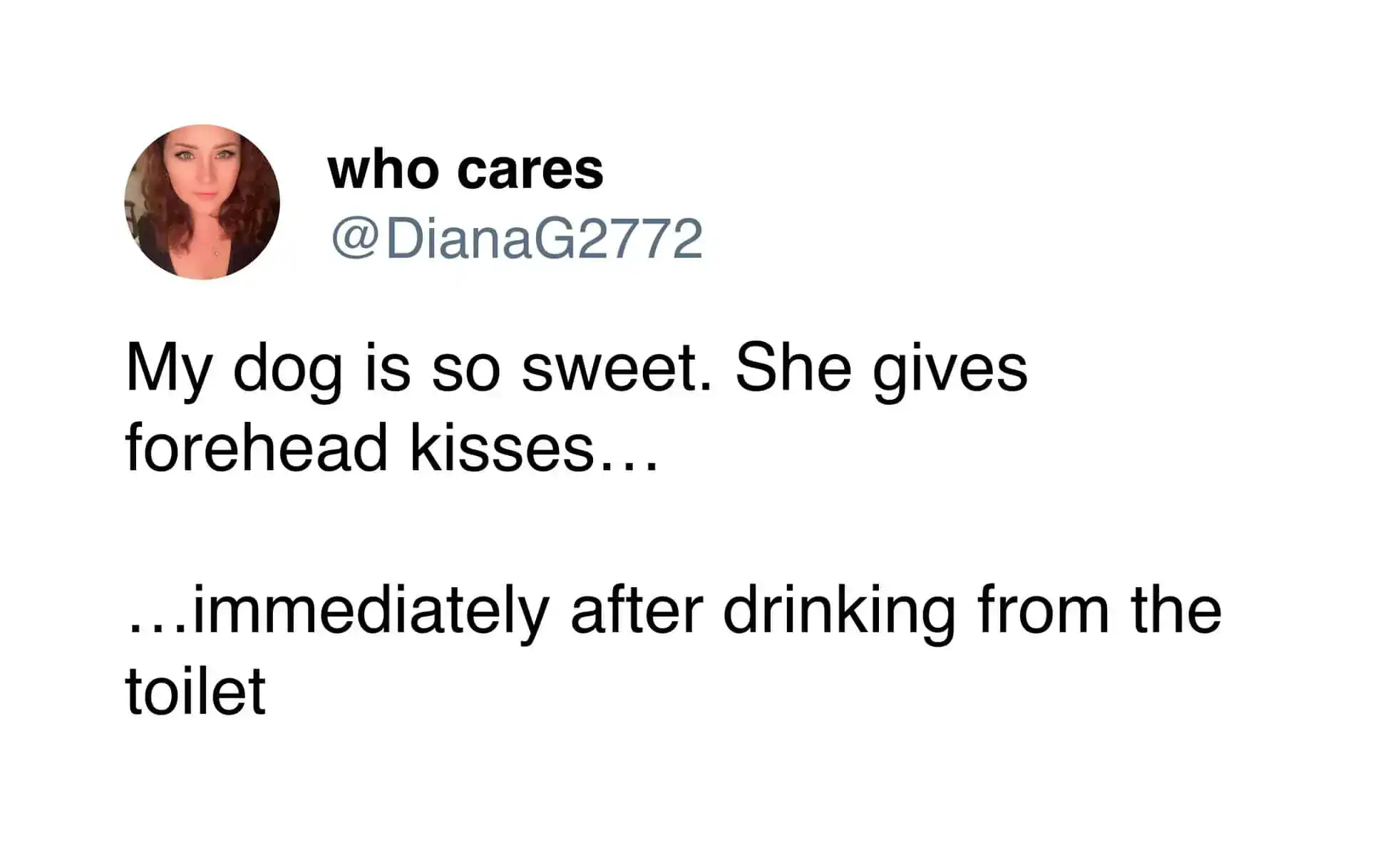 A "gross but sweet" pet meme tweet from @DianaG2772. It describes the duality of dog ownership, where a "sweet forehead kiss" is immediately undermined by the fact the dog just finished drinking out of the toilet.