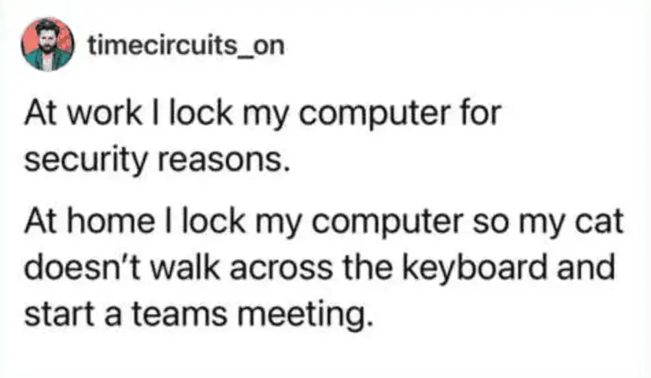 A work-from-home funny tweet about pets by timecircuits_on. He explains that while he locks his computer at the office for data security, he locks it at home to prevent his cat from "starting a Teams meeting" by walking across the keys.