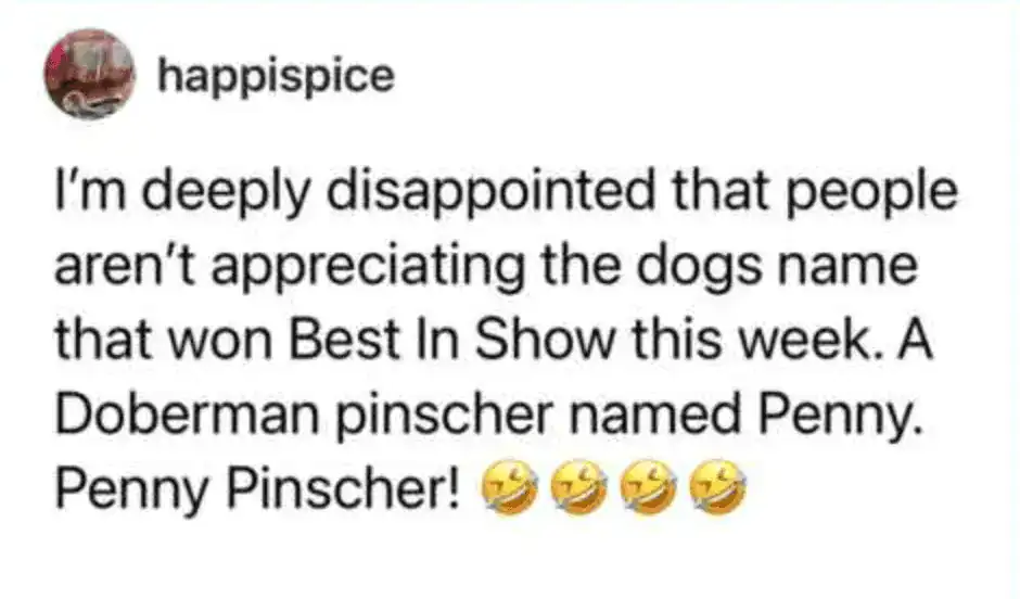 A pun-filled pet meme tweet from happispice celebrating a Doberman pinscher named Penny who won Best In Show. The user is "deeply disappointed" that more people aren't appreciating the wordplay of a "Penny Pinscher."