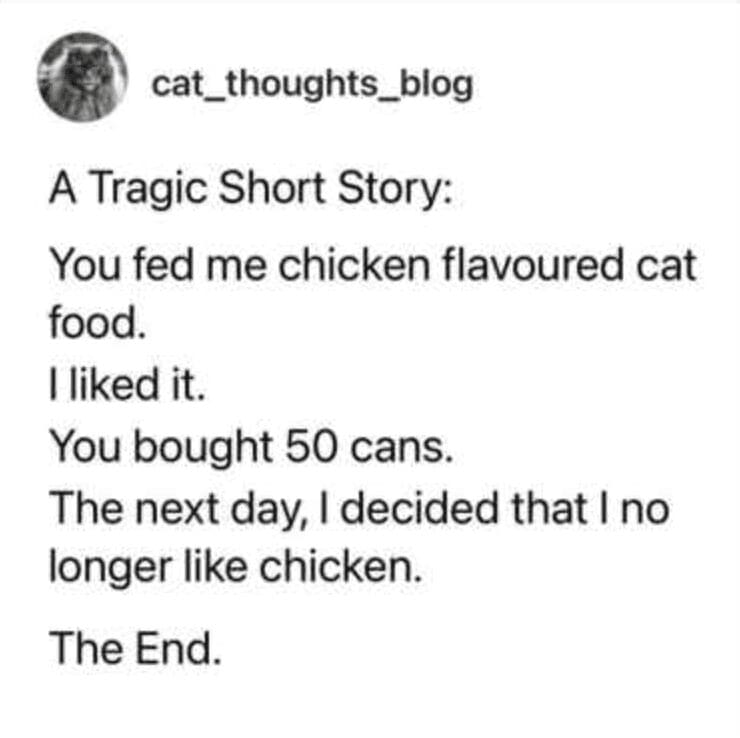 A "Tragic Short Story" funny tweet about pets from cat_thoughts_blog. It documents the feline betrayal of enjoying a specific chicken food until the owner buys 50 cans, at which point the cat decides it no longer likes chicken.